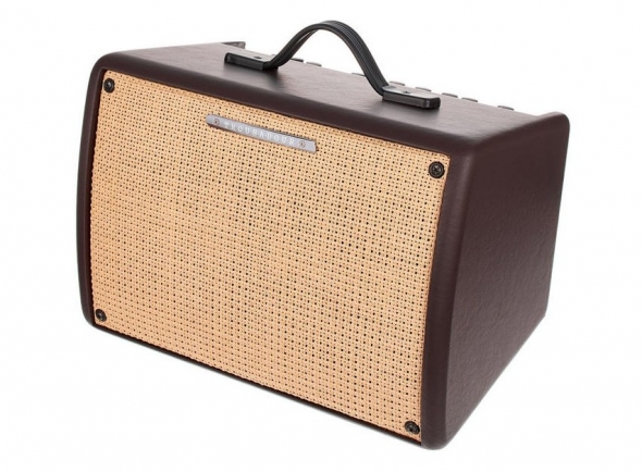 Ibanez T30II Acoustic Combo Ibanez T30II Acoustic Combo